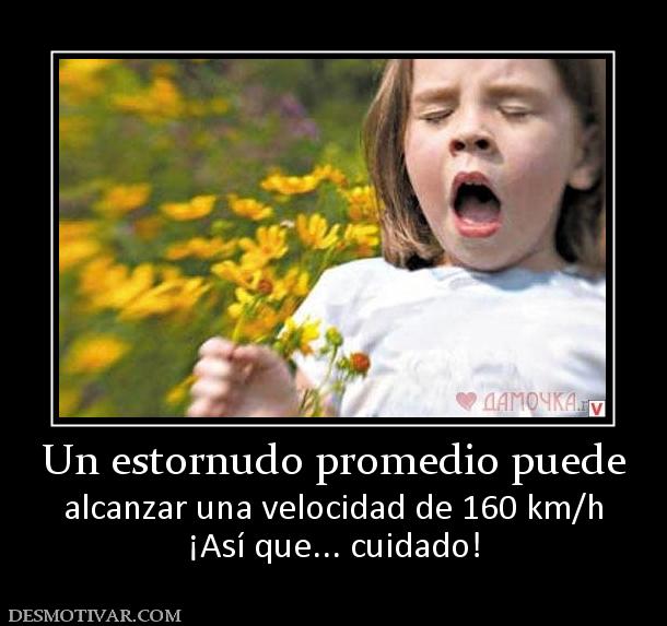 Un estornudo promedio puede alcanzar una velocidad de 160 km/h ¡Así que... cuidado!