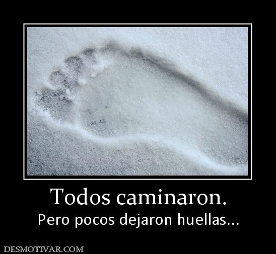 Todos caminaron. Pero pocos dejaron huellas...