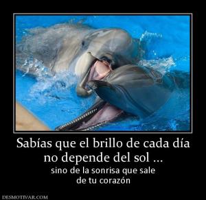 Sabías que el brillo de cada día no depende del sol ... sino de la sonrisa que sale de tu corazón
