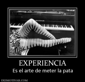 EXPERIENCIA Es el arte de meter la pata