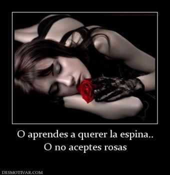 O aprendes a querer la espina.. O no aceptes rosas