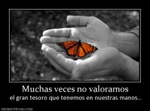 Muchas veces no valoramos el gran tesoro que tenemos en nuestras manos..