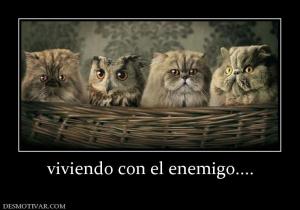 viviendo con el enemigo....