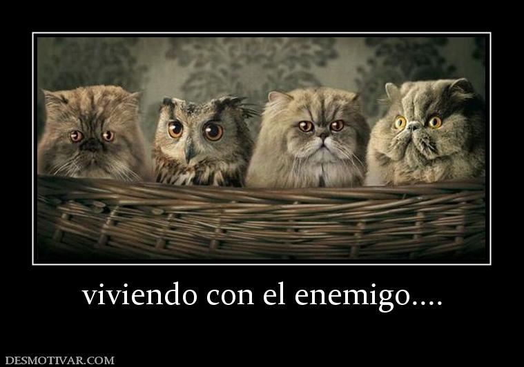 viviendo con el enemigo....