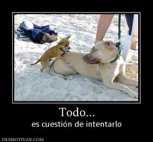 Todo... es cuestión de intentarlo