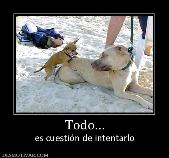 Todo... es cuestión de intentarlo