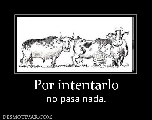 Por intentarlo no pasa nada.