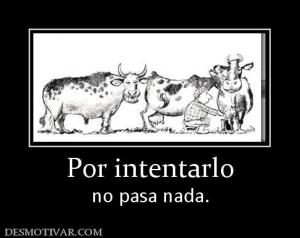 Por intentarlo no pasa nada.