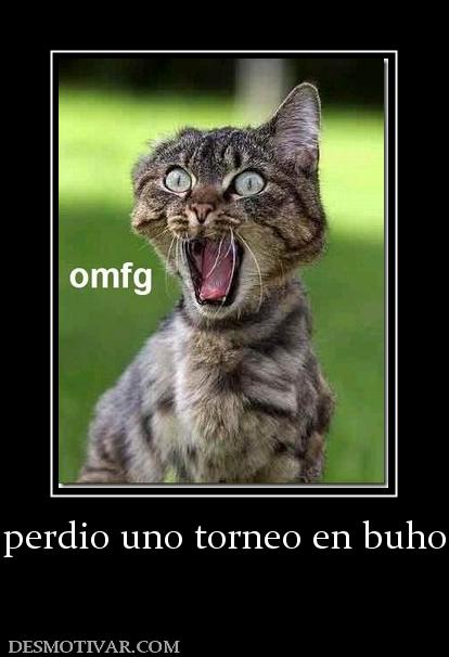 perdio uno torneo en buho
