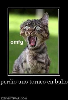 perdio uno torneo en buho