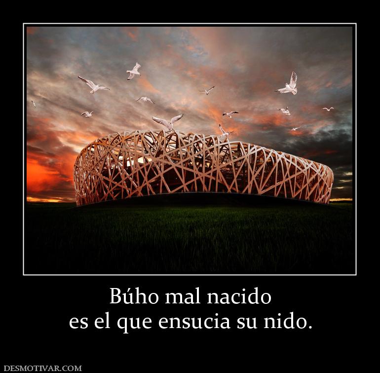 Búho mal nacido es el que ensucia su nido.