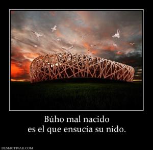 Búho mal nacido es el que ensucia su nido.