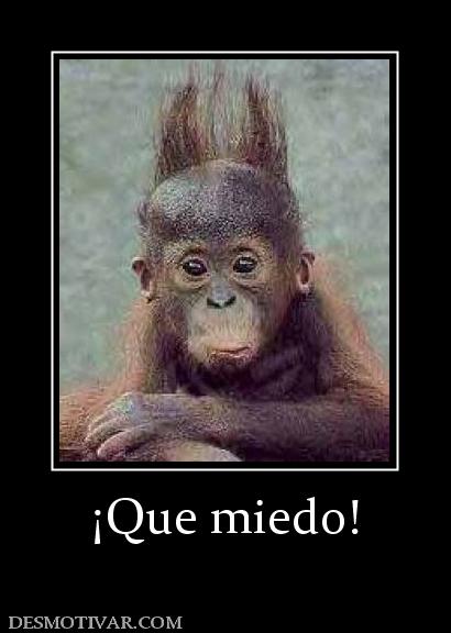 ¡Que miedo!