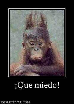 ¡Que miedo!