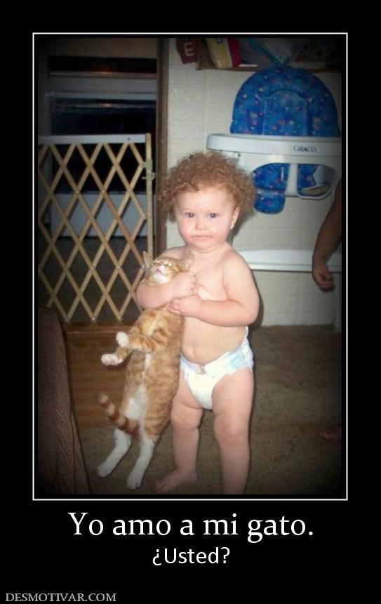 Yo amo a mi gato. ¿Usted?
