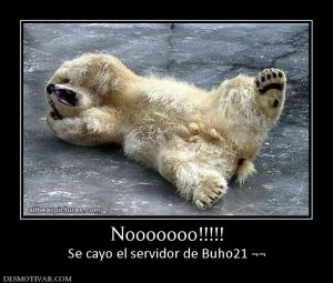 Nooooooo!!!!! Se cayo el servidor de Buho21 ¬¬