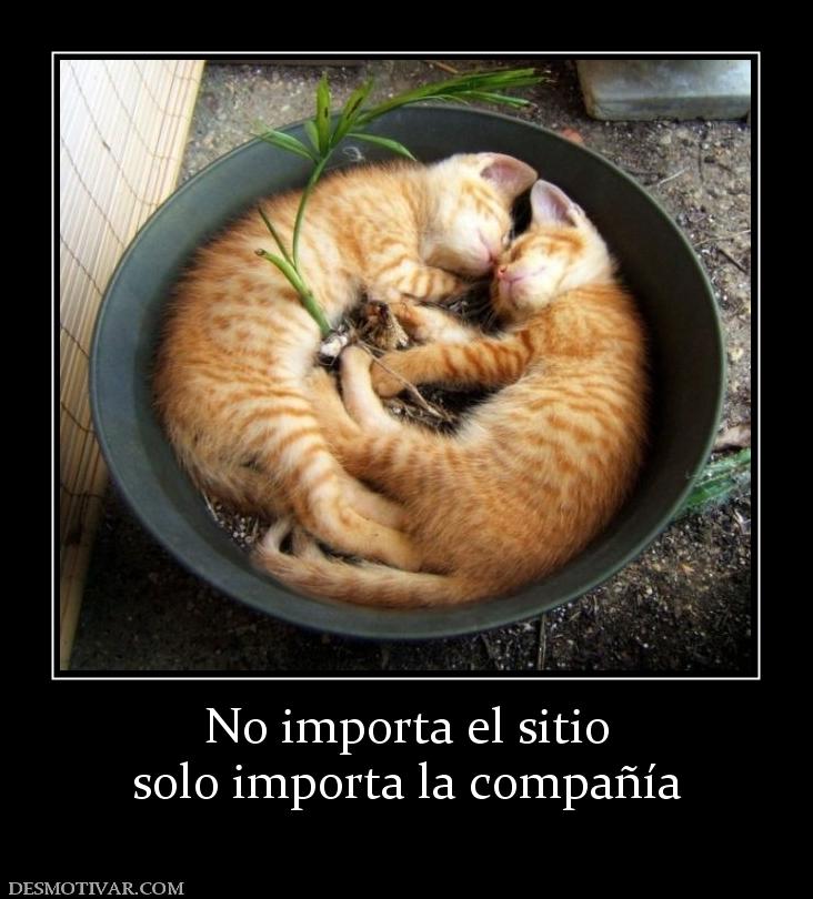 No importa el sitio solo importa la compañía