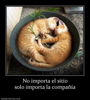 No importa el sitio solo importa la compañía