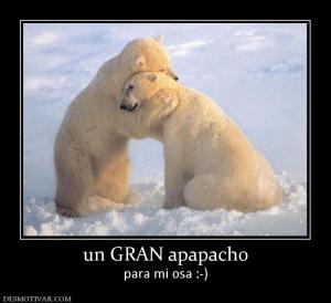 un GRAN apapacho para mi osa :-)