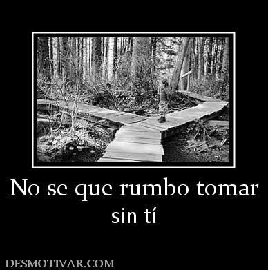 No se que rumbo tomar sin tí