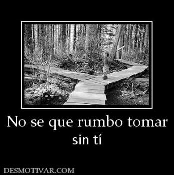 No se que rumbo tomar sin tí