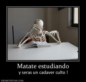 Matate estudiando y seras un cadaver culto !