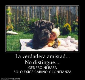 La verdadera amistad... No distingue.... GENERO NI RAZA SOLO EXIGE CARIÑO Y CONFIANZA