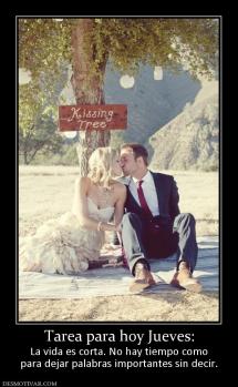 Tarea para hoy Jueves: La vida es corta. No hay tiempo como para dejar palabras importantes sin decir.