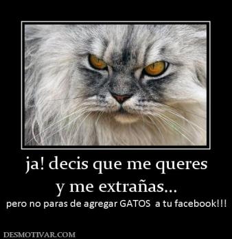 ja! decis que me queres y me extrañas... pero no paras de agregar GATOS  a tu facebook!!!