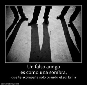 Un falso amigo es como una sombra, que te acompaña solo cuando el sol brilla
