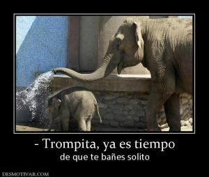 - Trompita, ya es tiempo de que te bañes solito