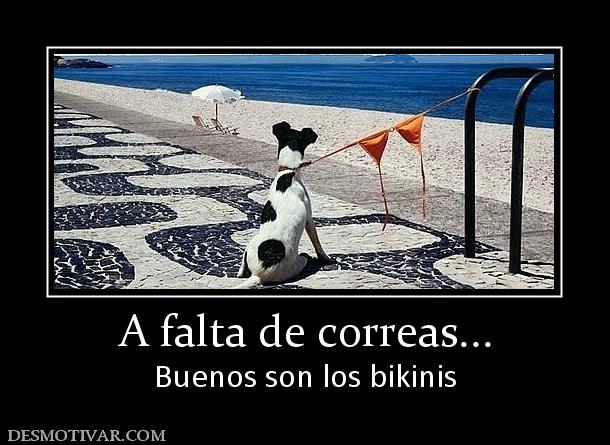 A falta de correas... Buenos son los bikinis