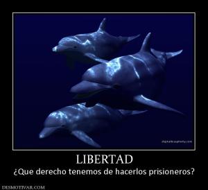 LIBERTAD ¿Que derecho tenemos de hacerlos prisioneros?