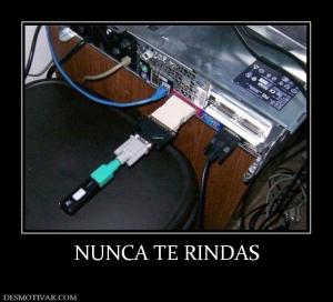 NUNCA TE RINDAS