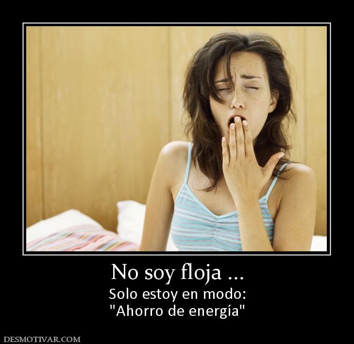 No soy floja ... Solo estoy en modo: