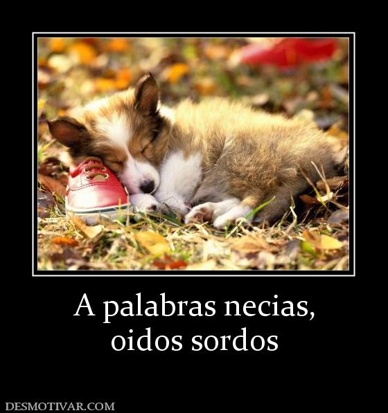 A palabras necias, oidos sordos