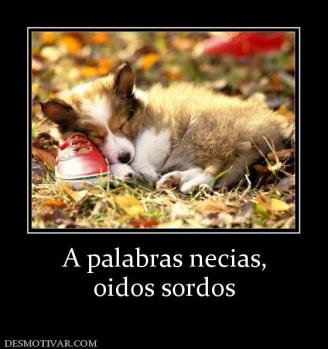A palabras necias, oidos sordos