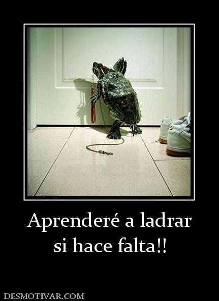 Aprenderé a ladrar si hace falta!!