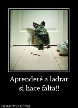 Aprenderé a ladrar si hace falta!!