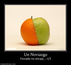 Un Noviazgo Forzado no encaja... </3