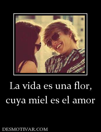 La vida es una flor, cuya miel es el amor