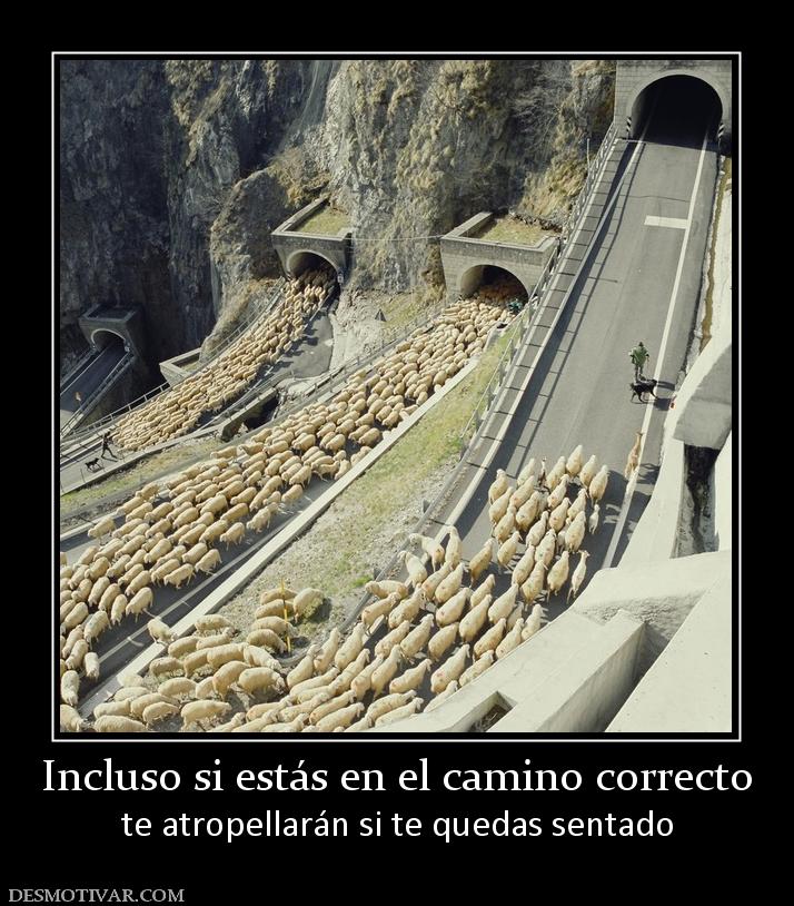 Incluso si estás en el camino correcto te atropellarán si te quedas sentado