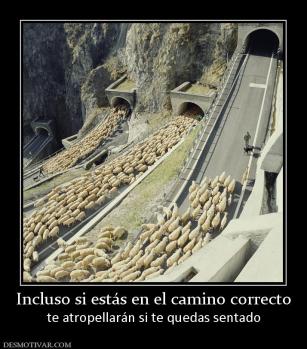 Incluso si estás en el camino correcto te atropellarán si te quedas sentado