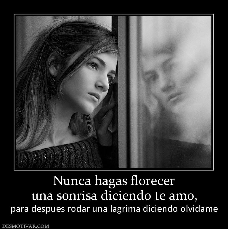 Nunca hagas florecer una sonrisa diciendo te amo, para despues rodar una lagrima diciendo olvidame