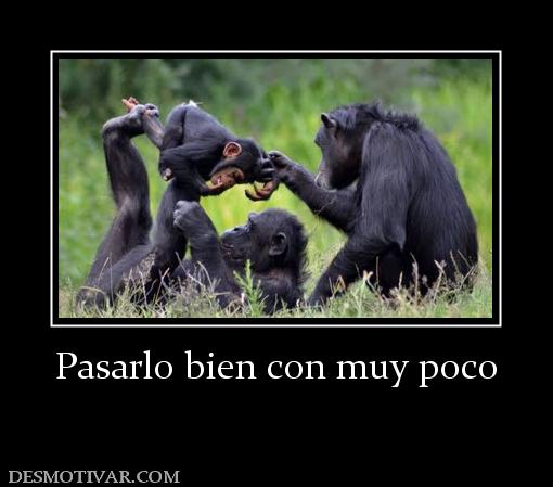 Pasarlo bien con muy poco