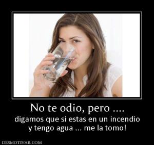 No te odio, pero .... digamos que si estas en un incendio y tengo agua ... me la tomo!