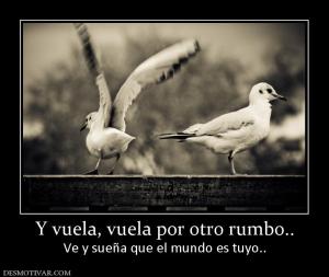 Y vuela, vuela por otro rumbo.. Ve y sueña que el mundo es tuyo..