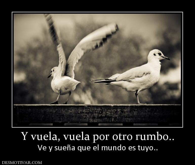 Y vuela, vuela por otro rumbo.. Ve y sueña que el mundo es tuyo..