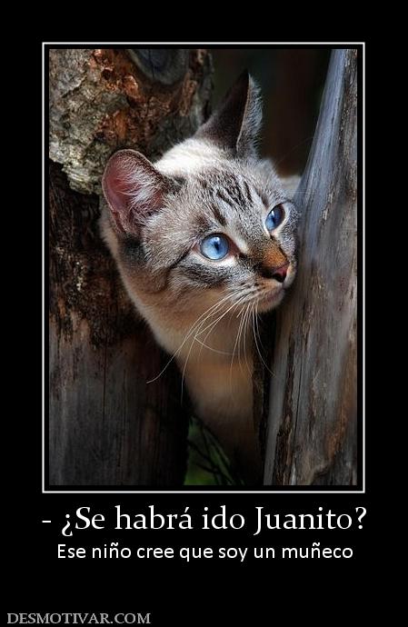- ¿Se habrá ido Juanito? Ese niño cree que soy un muñeco