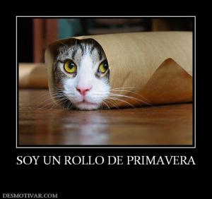 SOY UN ROLLO DE PRIMAVERA
